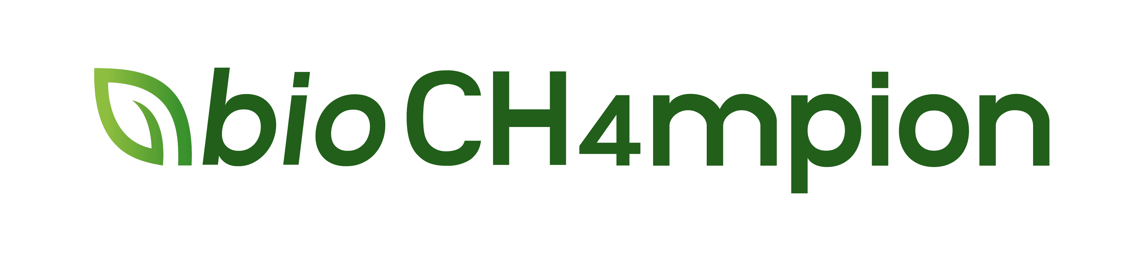 Biochamp Logo